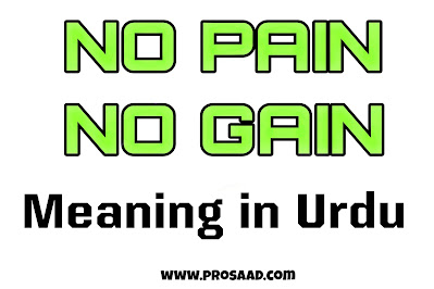 No Pain No Gain Meaning In Urdu