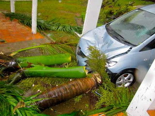 Our Hotel Car Crushed Cyclone Mick Damage Fiji