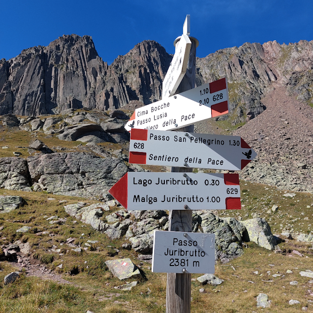 col margherita e forcella juribrutto san pellegrino