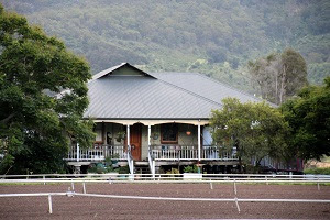 The Bauer family's homestead.