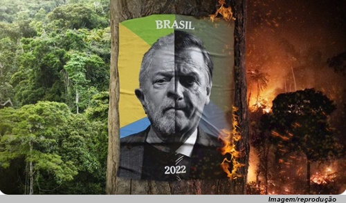 www.seuguara.com.br/New York Times/eleições 2022/Brasil/Amazônia/vídeo/