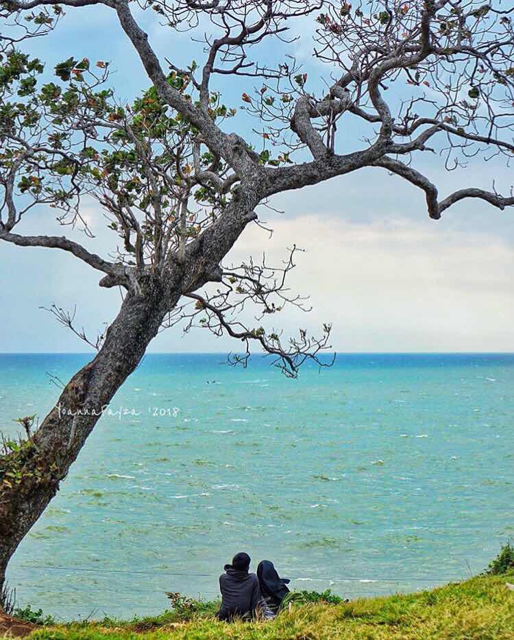 Pohon Keben Pantai Kesirat Jogja