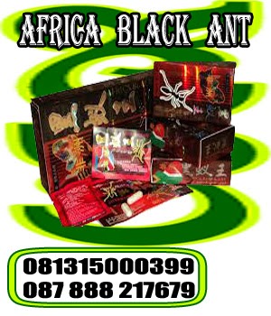 obat tahan lama,obat pria kuat,obat africa black ant,obat pria perkasa,capsul africa black ant