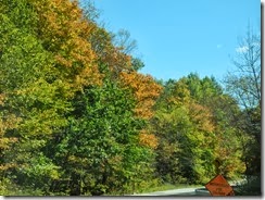 DSCN9672
