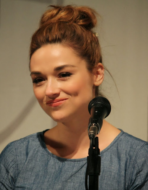 Crystal Reed Hd Wallpapers 