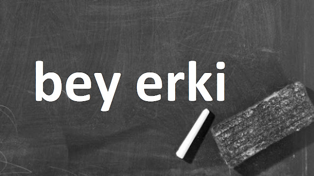 bey erki