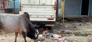 गोसाईगंजः नगर में कचरा फैलाने पर देना होगा जुर्मानाः ईओ