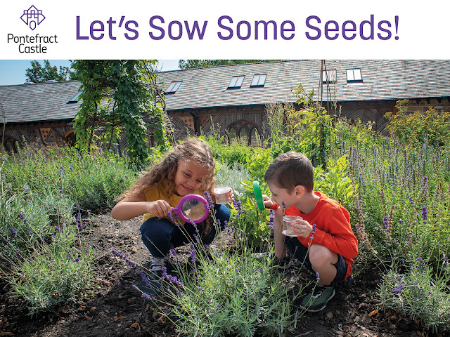 Let's Sow Some Seeds at Pontefract Castle. Includes photo of two young visitors exploring the herb garden at the Castle.