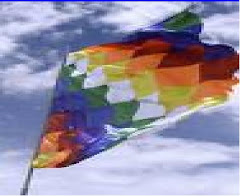 Vi a lo lejos una bandera