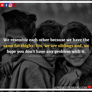 Best Funny Brother Quotes From a Sister | Best Quotes About Brothers To Say | Best Brother Quotes And Sibling Sayings | Funny Quotes On Brother And Sister