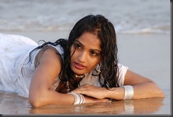 madhavi_latha_hot_in_saree