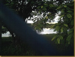 Foto0520