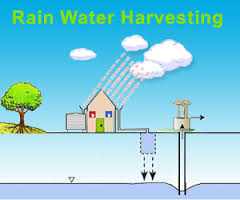 rain water harvesting