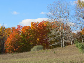 autumn colors