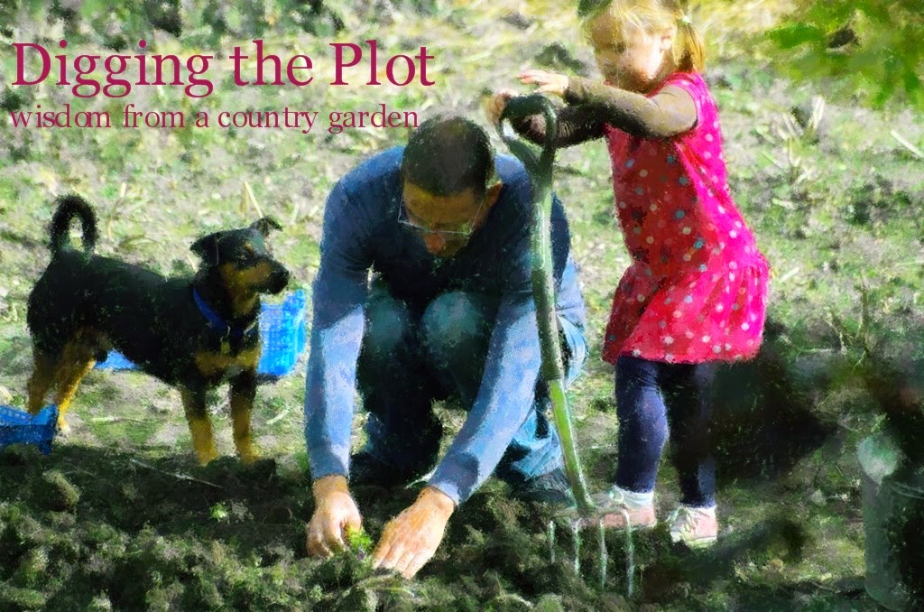 .DIGGING THE PLOT