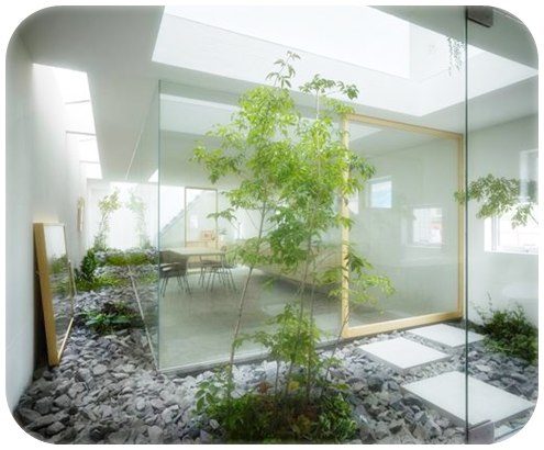 Contoh model taman  minimalis  dalam  rumah 