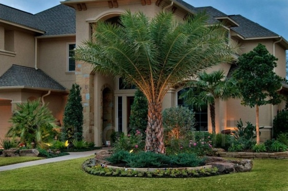 10 Landscaping Ideas For Front Yards And Backyards