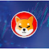 The future of the Shiba Inu cryptocurrency
