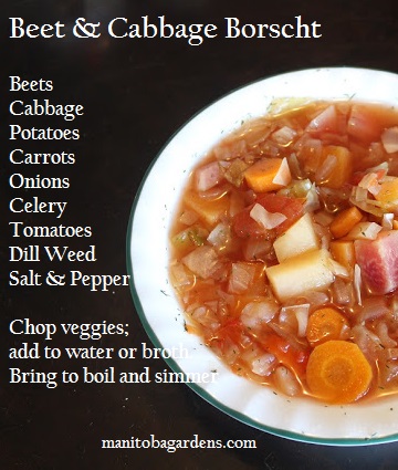 Bowl of borscht with recipe