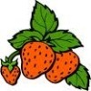 strawberry