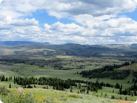 Lamar Valley