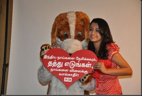 South Actress Trisha at Peta Photoshoot - Photos