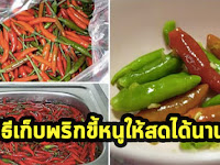 เคล็ดลับง่ายมากๆ วิธีเก็บพริกขี้หนูให้สดได้นานๆ ต้องทำแบบนี้ 