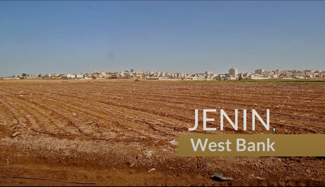 Jenin City - Welcome to Palestine