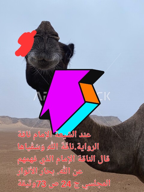 صورة