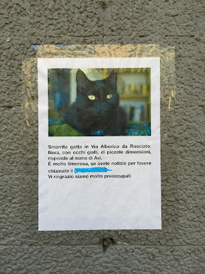 Lost cat sign in Bergamo.