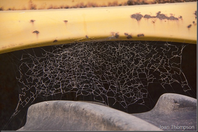 20120406_79web