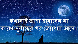 Bengali Status For Whatsapp & Facebook | হোয়াটসঅ্যাপ এবং ফেইসবুক স্টেটাস