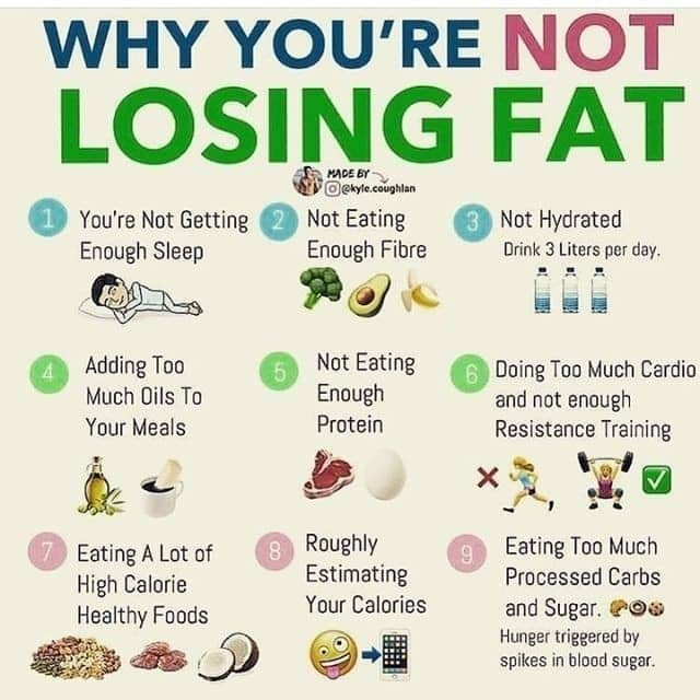 The Reason Why You Are Not Losing Fat