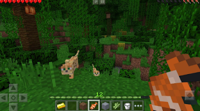 Minecraft Pocket Edition Mod Apk