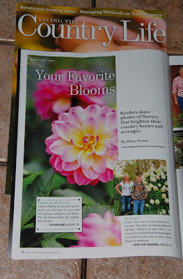 flower picture in magazine