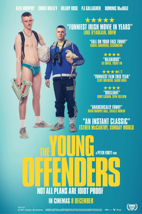 Descargar The Young Offenders 2016 Blu Ray Latino Online