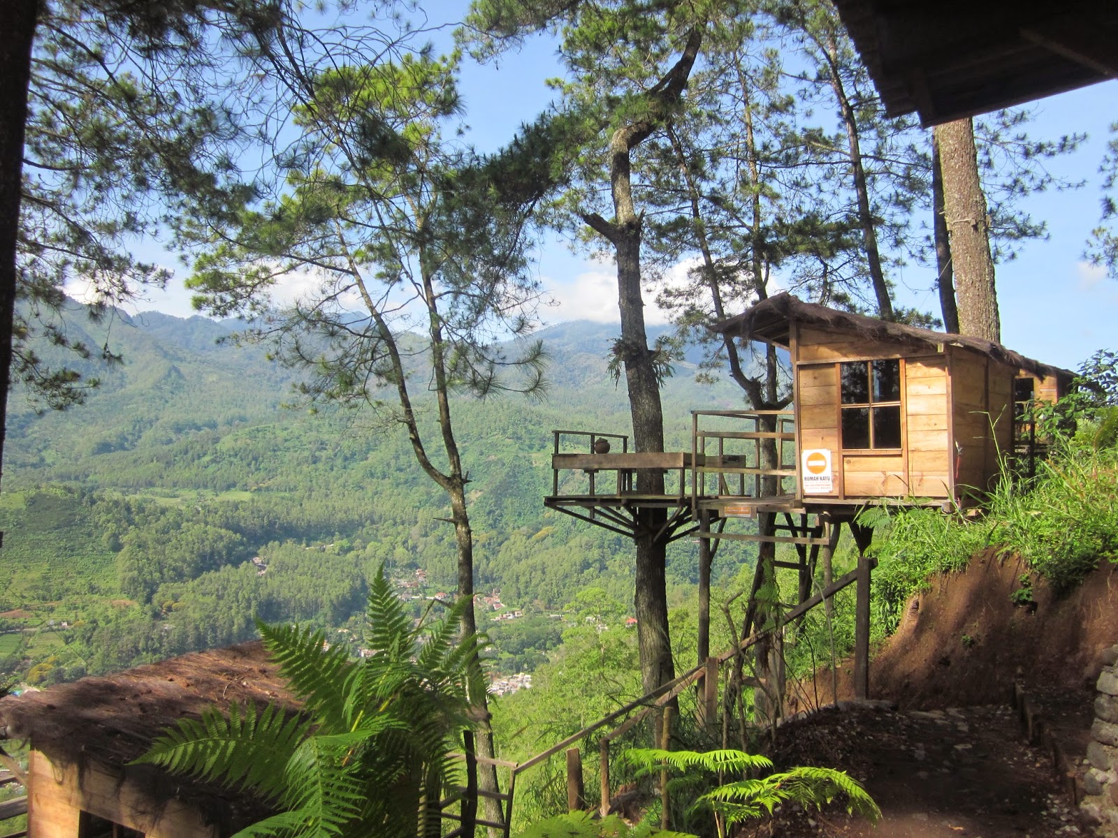 Telo Godok Wisata Rumah Pohon Malang Jatim