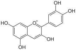 flavonoides