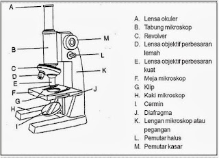 Mikroskop Monokuler