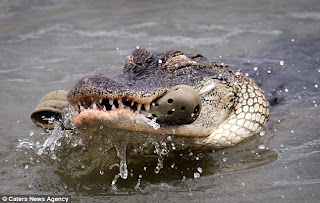 Everybody hate Crocs!