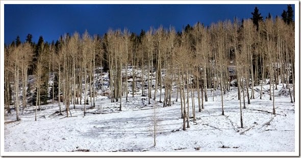 09-IMG_4342
