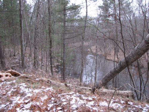 Little Manistee River