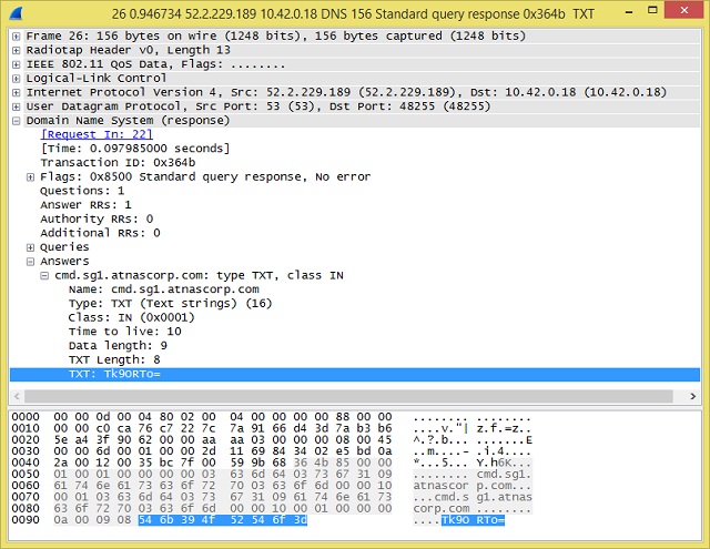 A DNS packet detail shown in Wireshark