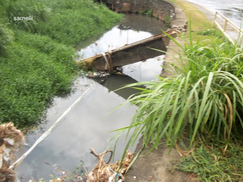 Rio Lucaia, um problema anunciado