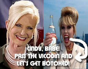 Cindy McCain And Patsy Stone (of 