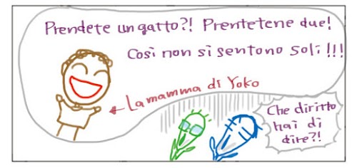 Prendete un gatto?! Prendetene due! Cosi non si sentono soli!!! La mamma di Yoko Che diritto hai di dire?!