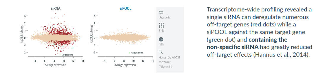 Exceptional Targeting Specificity with siPOOLs