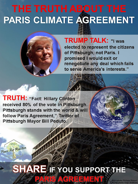 Trump Talk vs Truth: Fact checking Donald Trump's Paris Climate Agreement speech