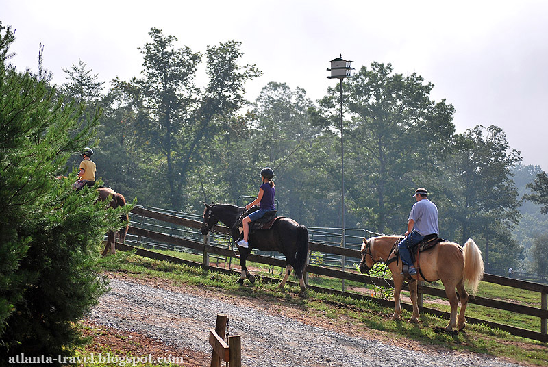 Georgia horseback riding