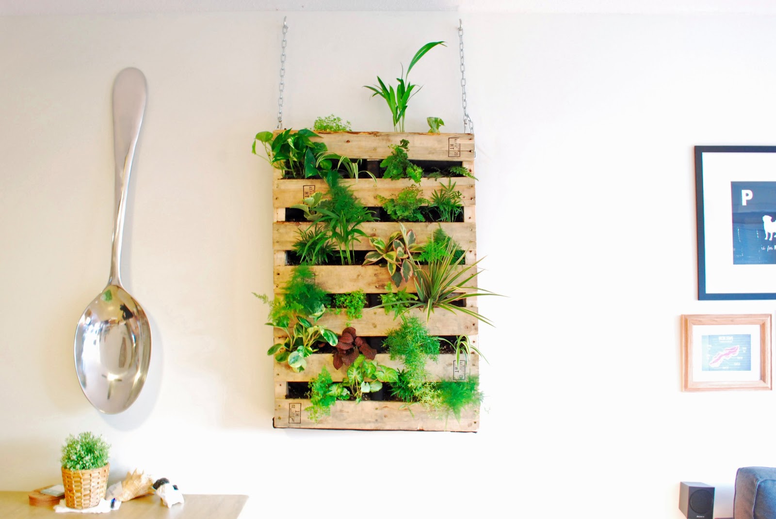 The Brew : DIY Pallet Living Wall